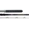Penn Carnage II Boat Rods