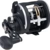 Penn Rival Level Wind Reels