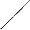 Penn Squadron II Surf Rods